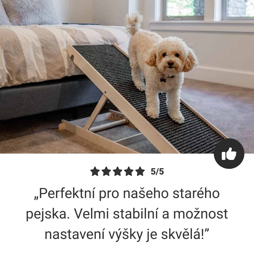 PetEase™ - Nastavitelná Rampa pro Zvířata - Obrázek 6